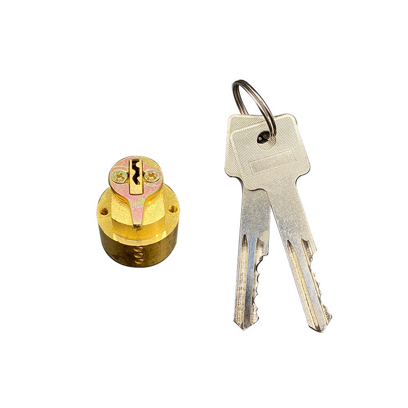 Núcleo de bloqueo de huellas digitales Núcleo de bloqueo de huellas digitales Núcleo de bloqueo de hotel Núcleo de bloqueo de tarjeta deslizante Núcleo de bloqueo de inducción