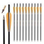 ACCMOS金标16-22英寸混碳弩箭弓箭射击直径8.8mm外径4寸橡胶羽