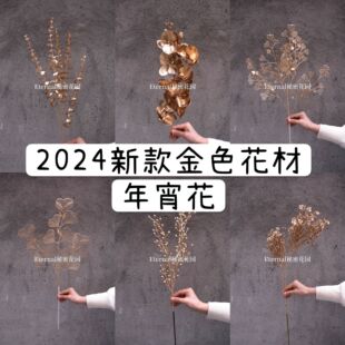 2024��������ɫ�����ȼ��������m����𶹶������y�Ӹ�Ͱ����Ͱ
