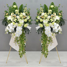 �_�I���@�ٻ������w�c��ӭ�e�b[���̈���䁙��������ػ�