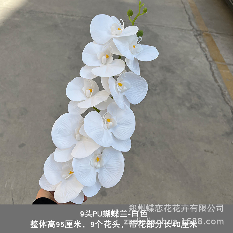 Actualización blanca de la cabeza PU9