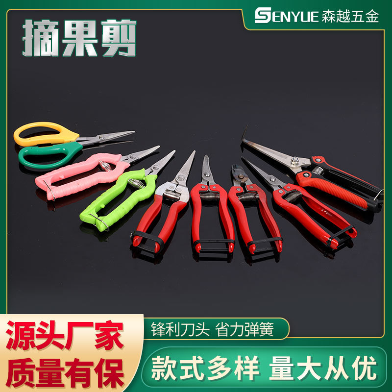 园林修枝剪 采摘果树树枝盆摘果剪园艺修枝剪葡萄采摘稀果剪批发