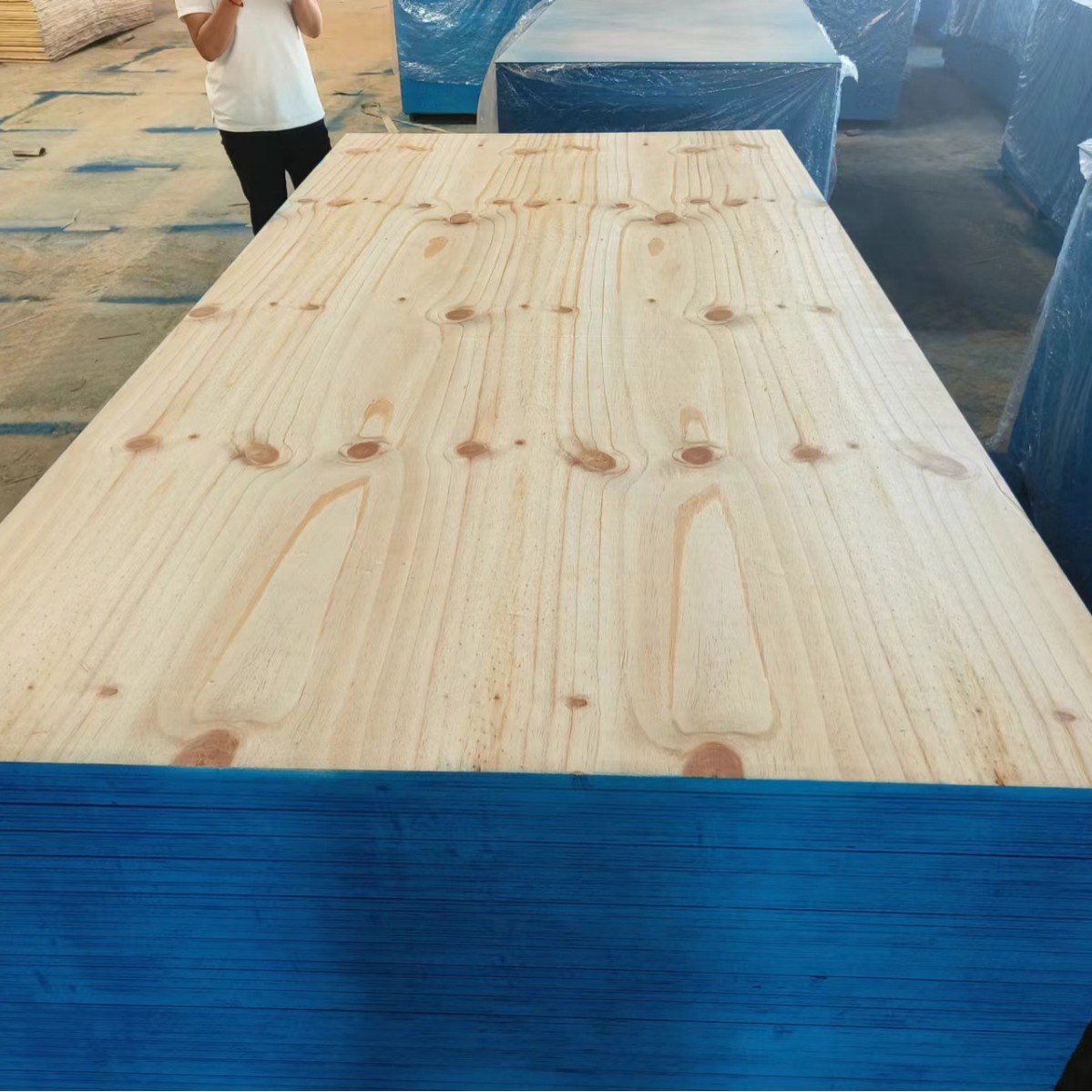 15mmCDX胶合板  松木胶合板 建筑用胶合板 房顶胶合板 CDX松木板