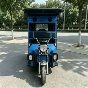 Sərnişin üçtəkərli velosipedi, ixrac modeli, böyük yer, güclü performans