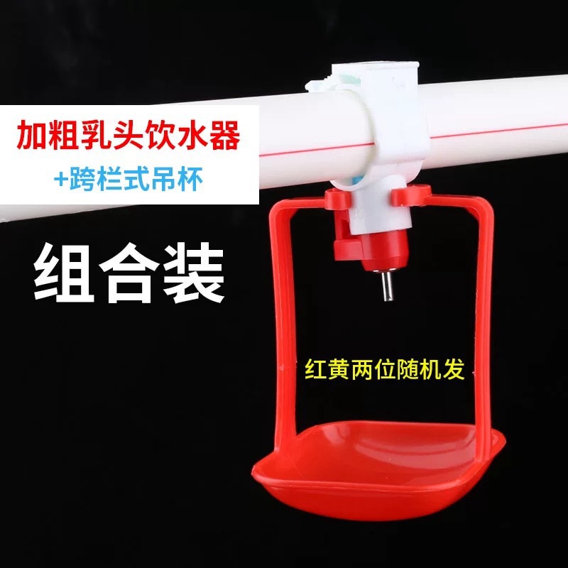 微信图片_20250628103051