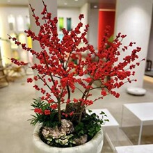 �M�ڱ����������Ԏ��t���͹������������r���ͺ����ܱ�����������