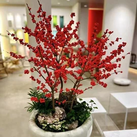 盆栽;干花;其他园林植物