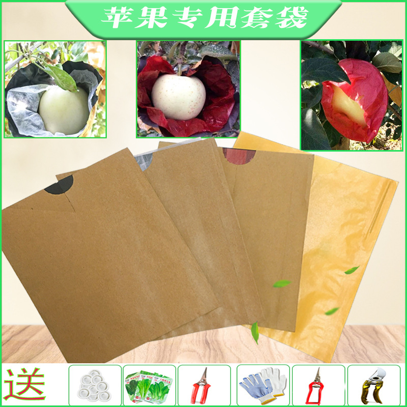 苹果专用套袋梨桃石榴芒果黄桃西瓜防雨水防虫鸟透气枇杷套袋包邮
