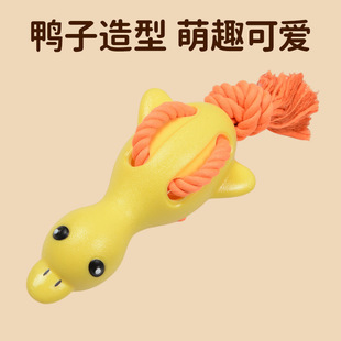�¿�С�S��TPR����߻���������ҧ�l��С��Ȯ���K����������l
