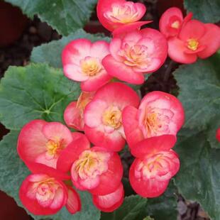 �ļ��_�����Ĳ����������Ď����l؛�҃������ļ��_�������ķ�