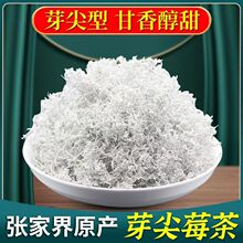 正宗张家界莓茶高端罐装龙须芽尖莓茶永顺莓茶产地直发新藤茶霉茶
