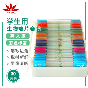 Student Microscope Accessories 30 Pieces English Version Colorful Label Biological Slide Set
