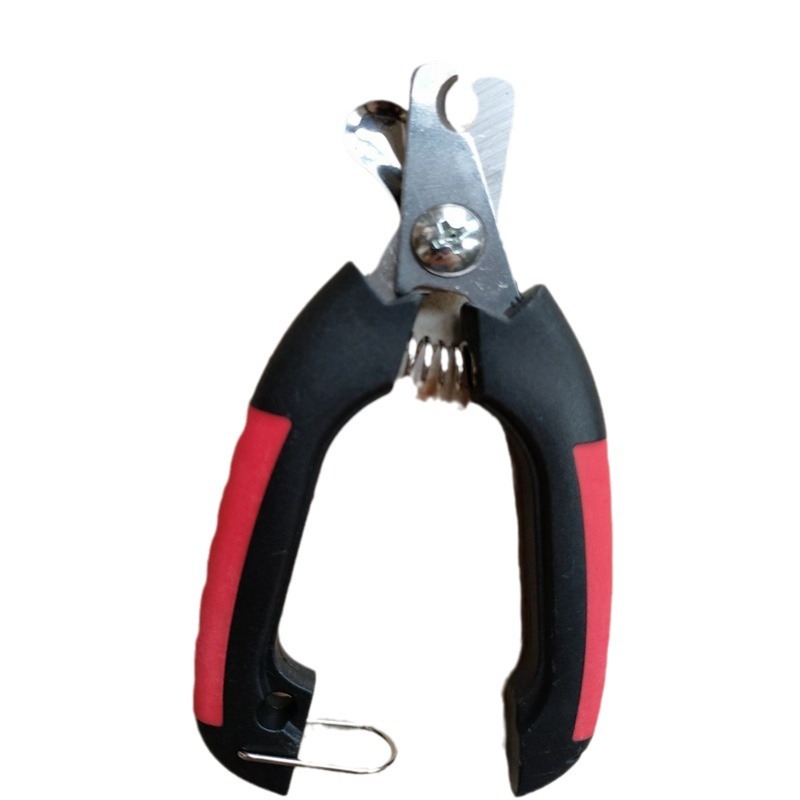 2024-03-11 19:41:16.jpg