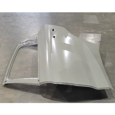 Qin L QIN L DM-i car door front and rear left rear door DOOR (Door)