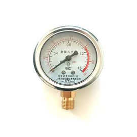 YN-60耐震压力表 1.6Mpa压力仪表耐高温隔膜油表液压表