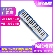 天鹅牌37键口风琴 长软管吹嘴琴 学生幼儿园儿童复音初学课堂乐器