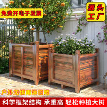 ����ľ�������ͥԺ�����ηNֲ�䳬�������⻨���ش�̖�N������