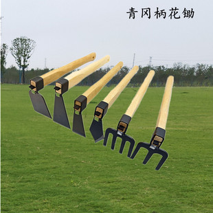 ����ľ�������z�r��ֲ���z�^�@ˇ���ݻ��z�Nֲ�c�z�@�ֹ��߻��@