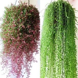 ������m���Դ���ֲ��������m����ֲ��������ֲ���҃����˜I