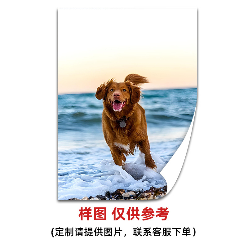 亚马逊热销宠物肖像定制实木无框画 喷绘帆布画芯 客厅装饰画挂画