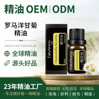 定制罗马洋甘菊精油小批量洋甘菊油春黄菊供应植物芳疗单方精油