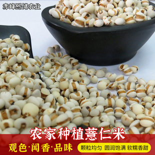 ���l޲������؛����s�Zĥ�����ò�޲�����׺泴�����޲����