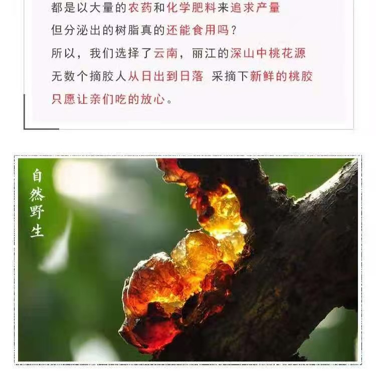Peach Gum (Prunus persica Resin) — Dried Tao Jiao Food Herb, 500g Yunnan Origin overview