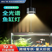 �S��ֱ�N�~�ן�ȫ���V��ɫ׃��LED�X�Ͻ�Ͳ��360���D�쾰͸�R�A��