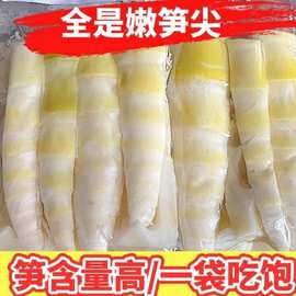 5斤 8斤竹笋尖嫩笋冬笋新鲜火锅食材配菜蔬菜批发价300克笋丝包邮