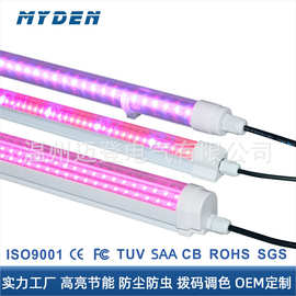 LED防水植物生长灯IP65低压ACDC24V36V48V双排补光灯粉色紫色灯管