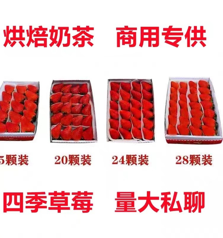 【顺丰包邮】云南新鲜商用盒装酸草莓现摘新鲜产地直供烘培用草莓