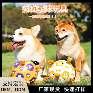 Dog Outdoor Interactive Football Toy Pet Dog Training Toy Ball Molar Bite Resistant Self Hi Pet Dog Toy