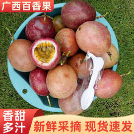 广西荔浦百香果热带黄金新鲜水果西番莲果园一件代发紫色百香果