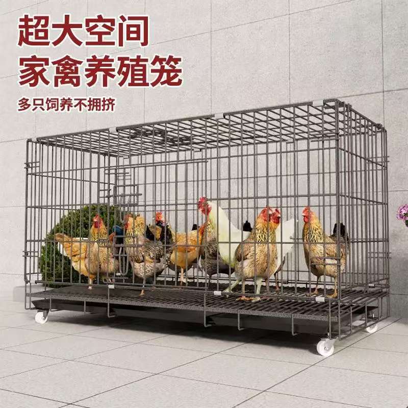 鸡笼子家用室外养鸡笼农村鸡舍鸡窝大号鸡房子鸡舍棚铁丝网鸭子笼-阿里巴巴