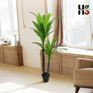 �������ľ�����F����~����m���Ա��W�͏d�b��쾰���l���˽�