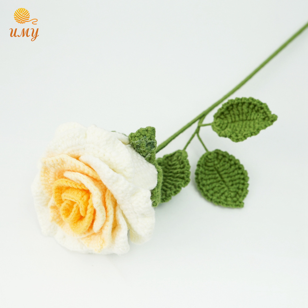 옐로우 화이트 로즈