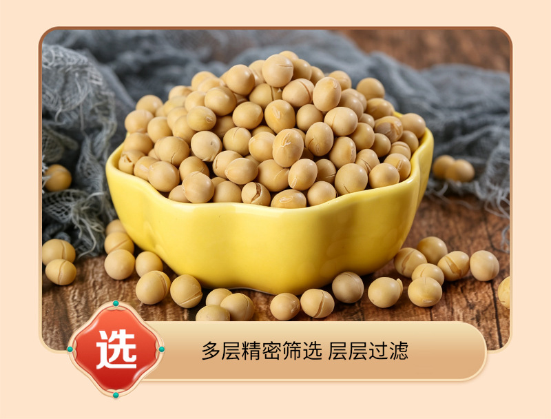 Roasted Soybeans Huang Dou 大豆 Low Temperature Baked Whole Beans for Soymilk and Grinding Bulk 25kg Bag in use