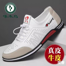 ��ľ�B��Ь�ļ���ʿ�\�����eЬ��Ƥ�ٴЬ�U�Ճ�����ƤЬ�Л�Ь