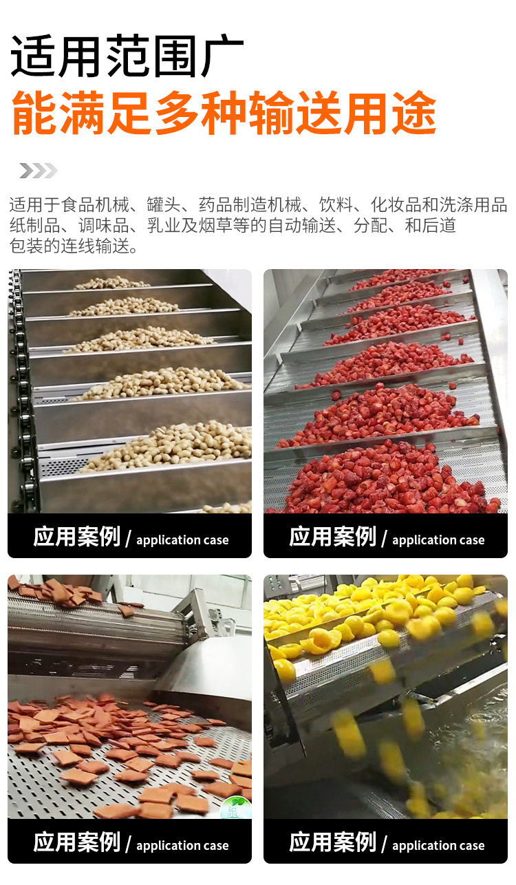 链板提升机_10.jpg