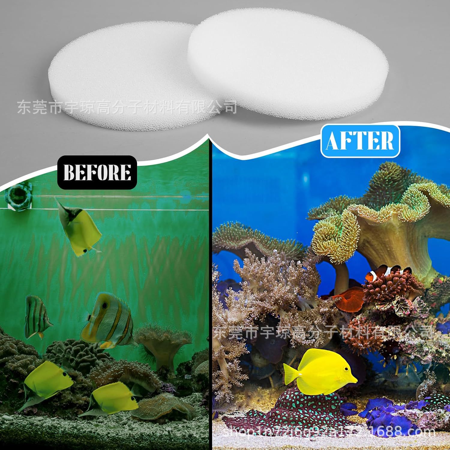 81ruCHDLjIL._AC_SL1500_