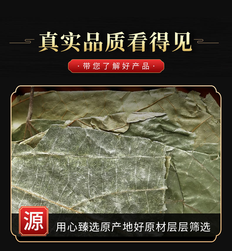 Bu Zha Ye (Microcos paniculata) — Dried Food Herb Leaf for Tea & Soup quality and texture
