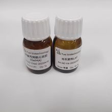 gelma甲基丙烯酰化明胶 光固化水凝胶 LAP引发剂 生物3D打印 细胞