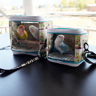 �W�^������ļ���y�B��͸��б�绢Ƥ���Lĵ���\��͸����ҕ�ɲ�