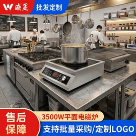 炊事设备;炒炉/炒灶;扒炉/铁板烧