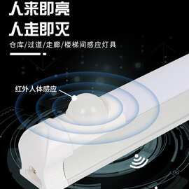 物联网LED红外智能雷达感应灯管楼道走廊地下车库感应一体分体