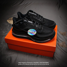 Ьԭpegasus premium ȫƚ|p\͸ܲЬп