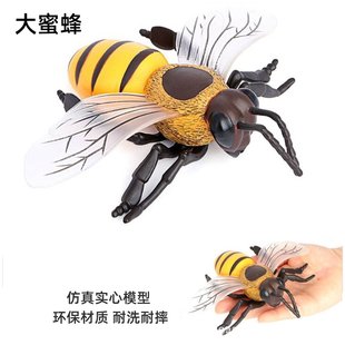 �羳�o�B���ă�ͯ������x�����R�� ���S�� ����  �۷�ģ�����l