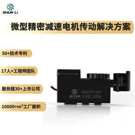工厂批发4.5v44RPM美标锁微型直流减速电机智能家居静音微型马达