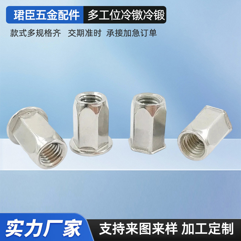 专业冷墩异型件 多工位非标螺丝螺母机械零配件锁配烙铁烙铁头