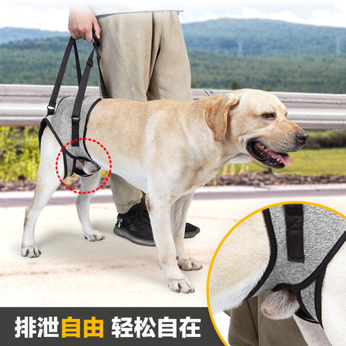 Cross-border best-selling pet supplies: Injury support harness for dogs' hind legs, decompression-assist traction device for elderly or injured dogs